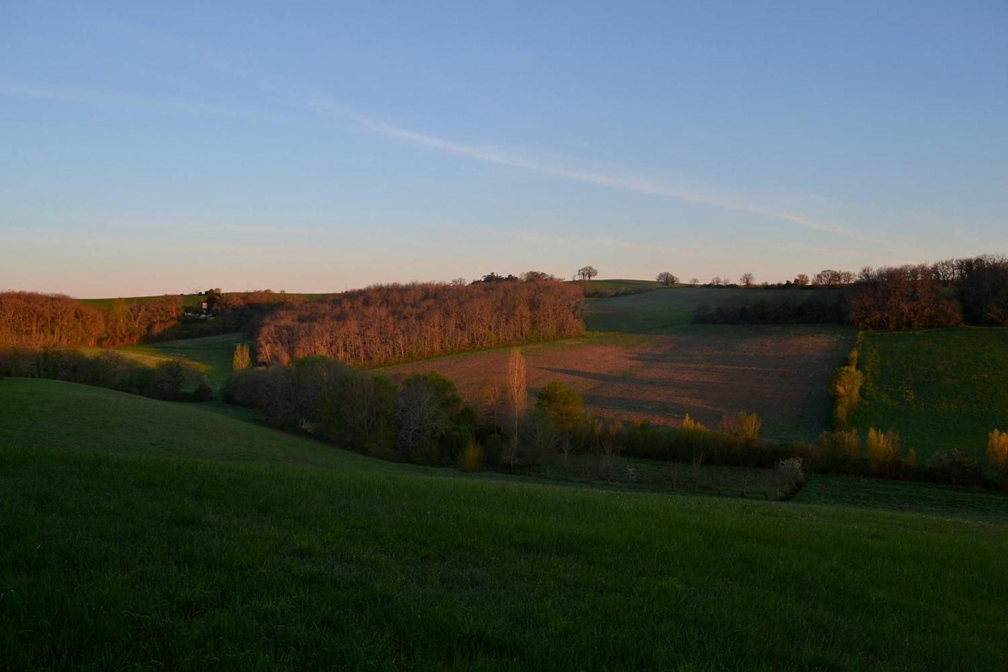 Chambre D'Hote Au Domaine Terre De Chenes Saint-Paul-de-Baise Экстерьер фото